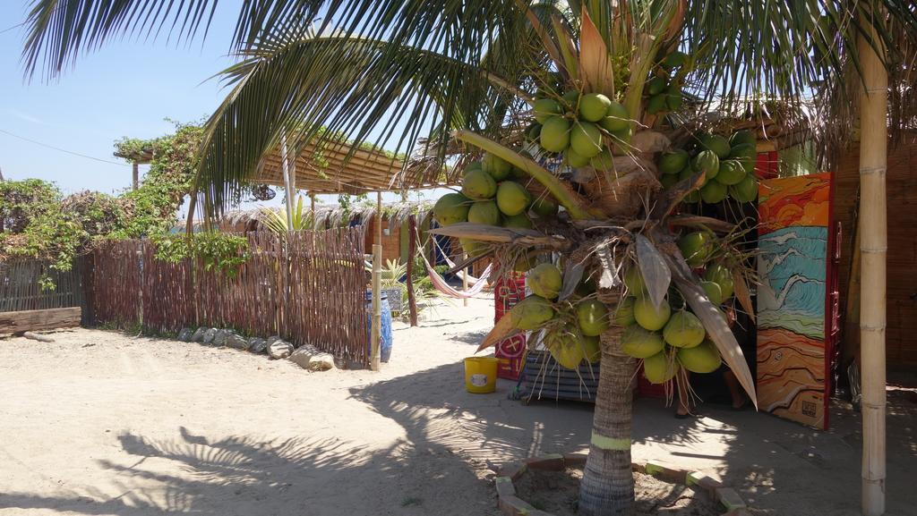 Psygon Surf Camp Hostel Mancora Εξωτερικό φωτογραφία