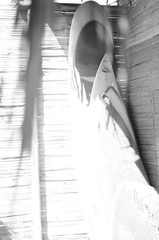 Psygon Surf Camp Hostel Mancora Εξωτερικό φωτογραφία