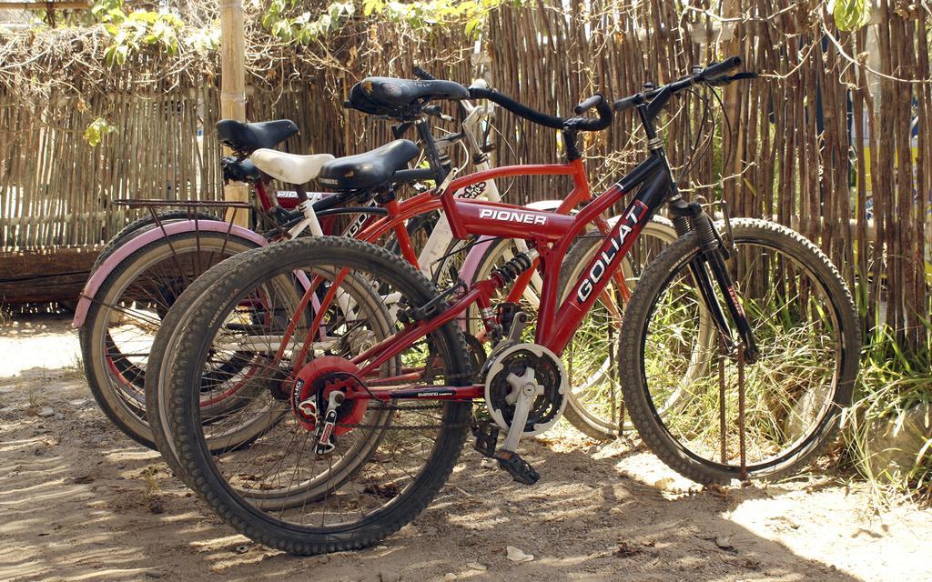 Psygon Surf Camp Hostel Mancora Εξωτερικό φωτογραφία